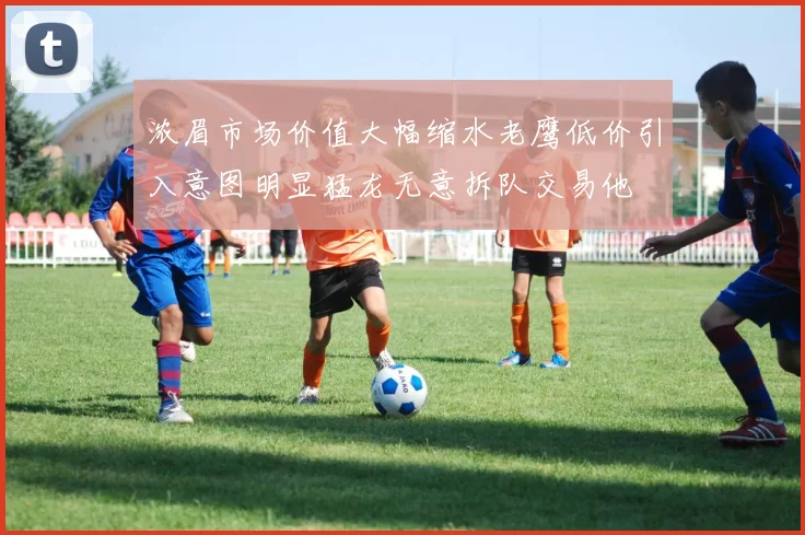 浓眉市场价值大幅缩水老鹰低价引入意图明显猛龙无意拆队交易他