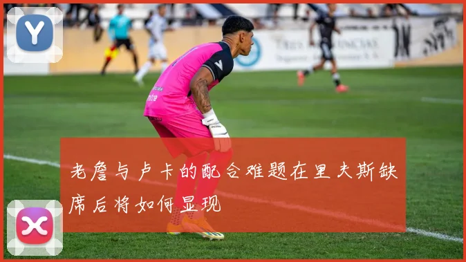 老詹与卢卡的配合难题在里夫斯缺席后将如何显现